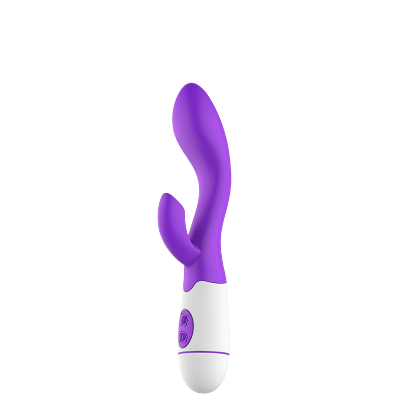 VP-010-013